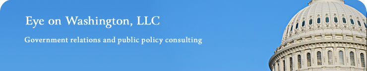 Eye on Washington: Government Relations and Public Policy Consulting